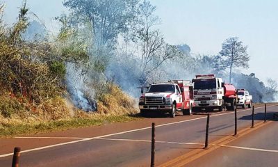 Extrema peligrosidad de incendios en todo Misiones, advierte Ecología