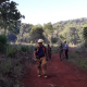 Fuego intencional afectó unas 20 hectáreas de la reserva Yaboty